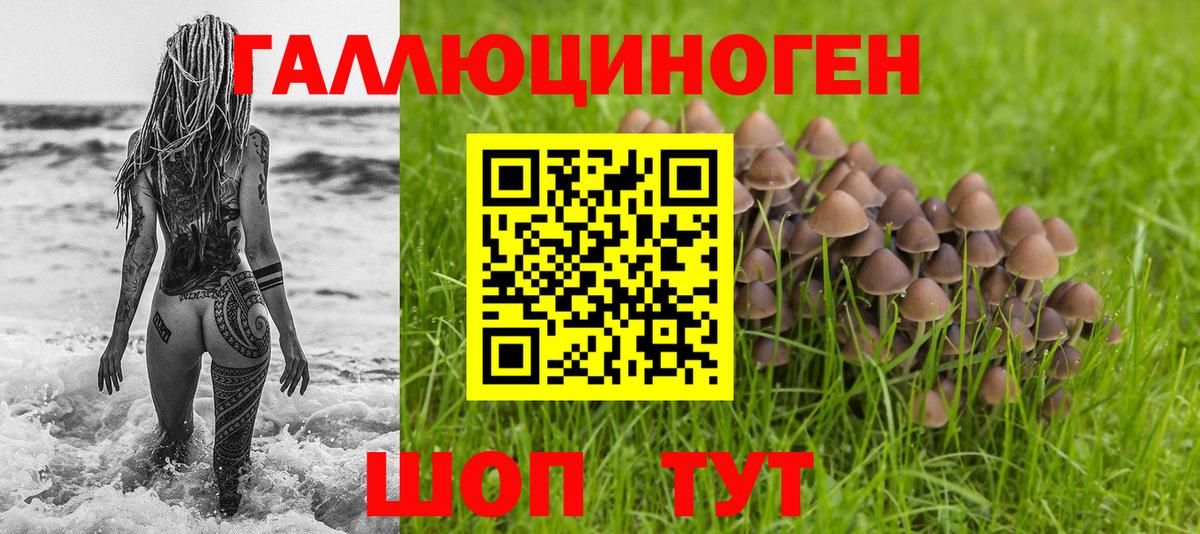 Псилоцибиновые грибы Psilocybine cubensis Белогорск